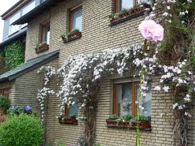 Blumenfahne Galeriebild