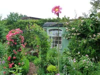 Blumenfahne Galeriebild