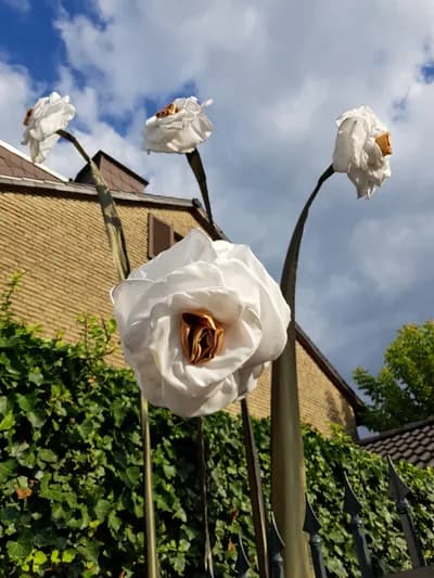 Blumenfahne Galeriebild