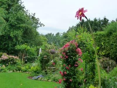 Blumenfahne Galeriebild