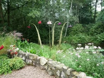 Blumenfahne Galeriebild